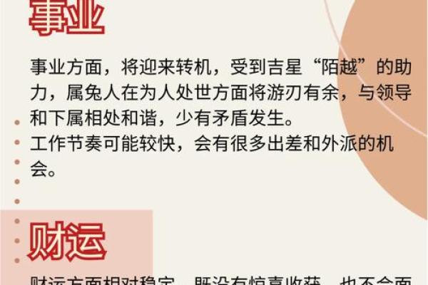 99年属兔女的最佳结婚年龄,1999年属兔婚配男人