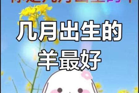 2003年属羊最佳结婚年龄 2003年属羊一生有几次婚姻