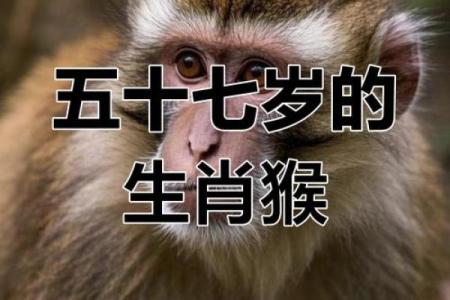 属猴午时出生的男孩应该取个怎样的名字姓名