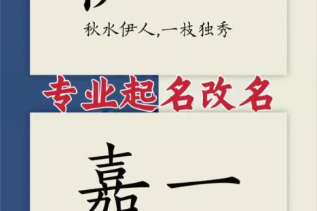3月份出生的属蛇男孩如何起名姓名